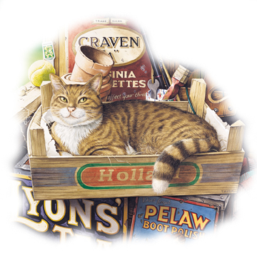 Gatto 7